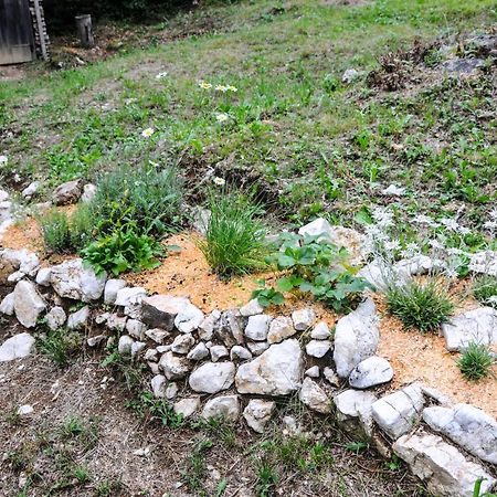 Gorska Hiska Vogar Nad Bohinjskim Jezerom Buitenkant foto